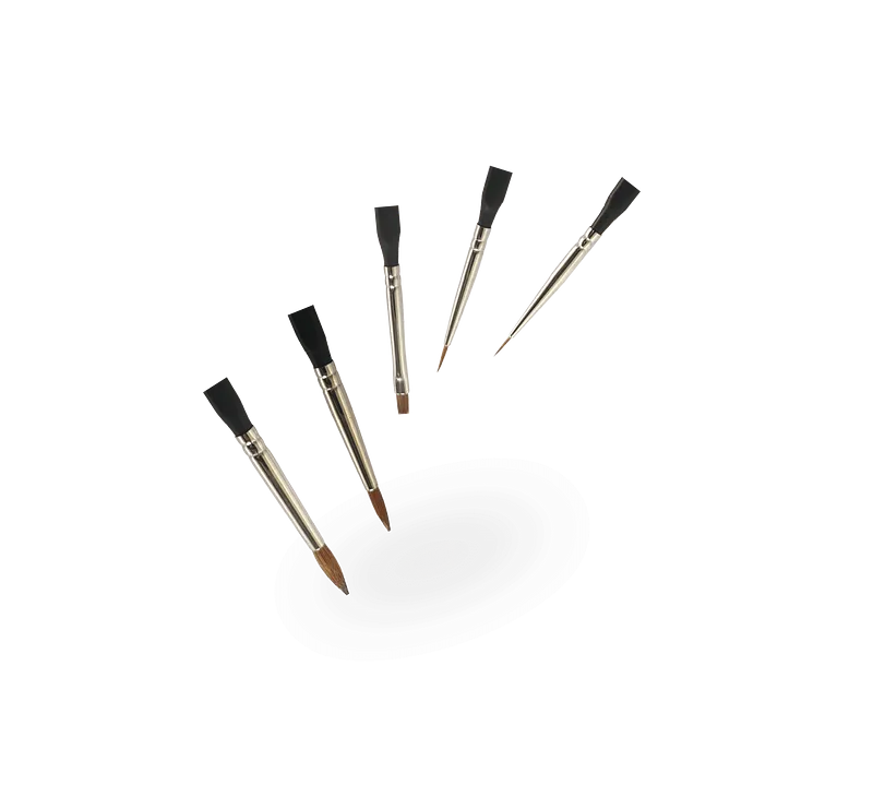 img_rnp.webp